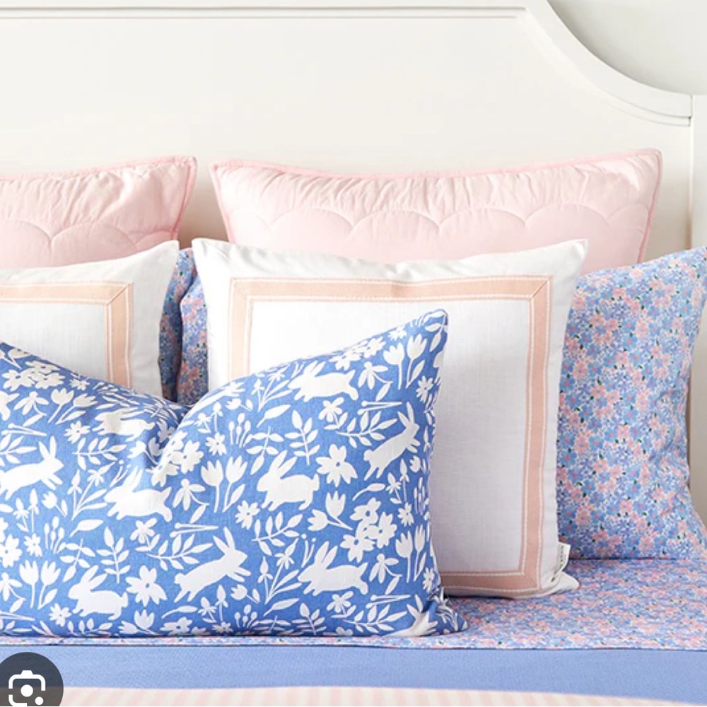 Caitlin Wilson blush border frame pillow